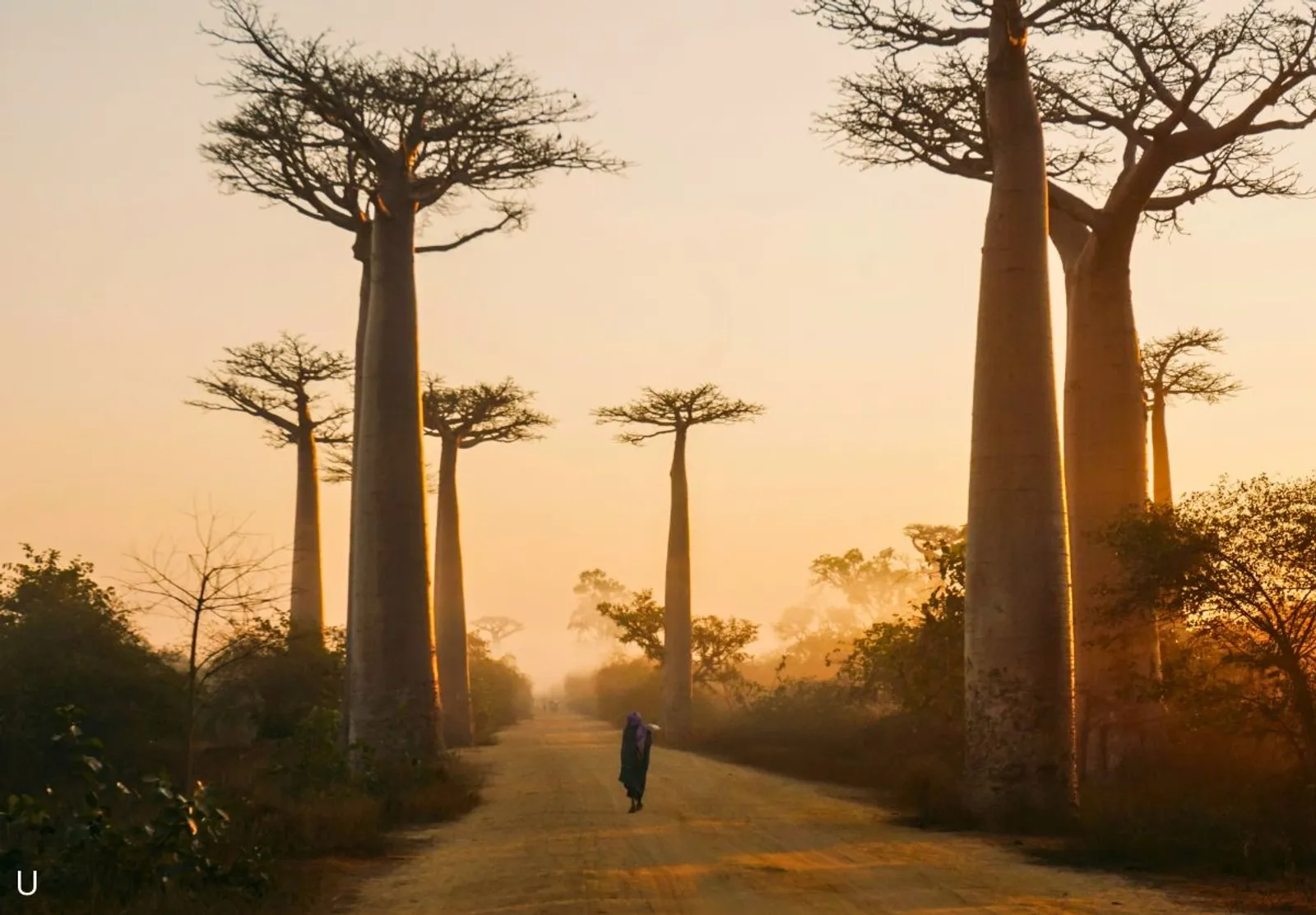 Madagascar