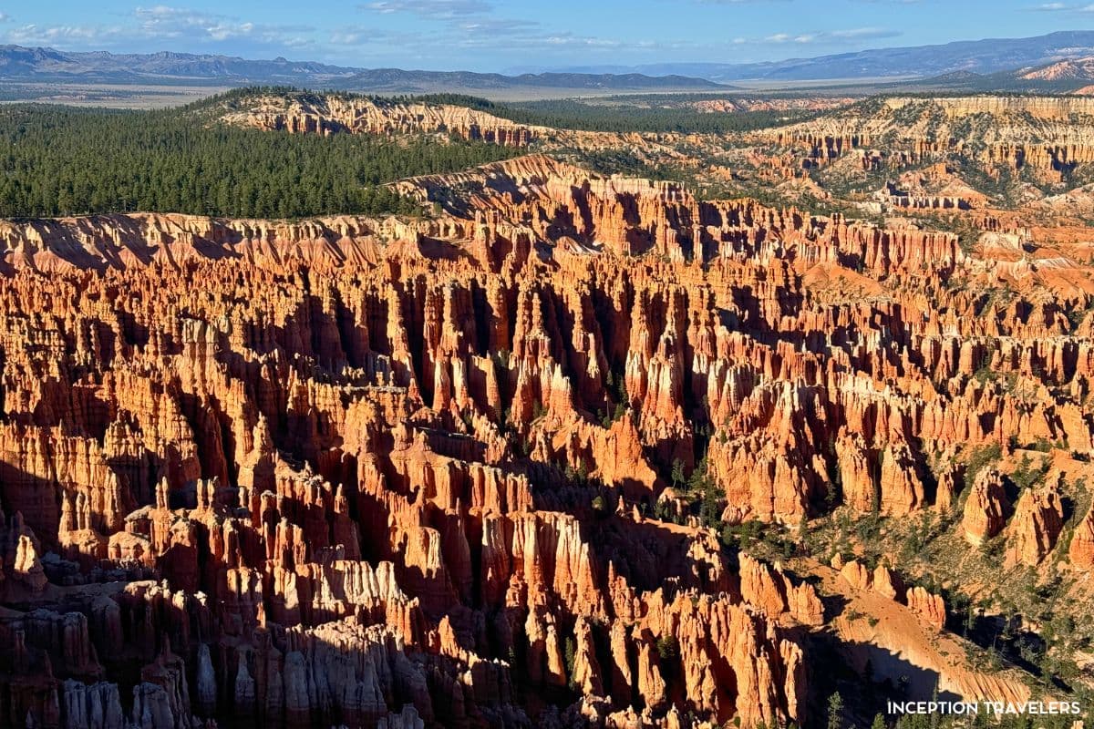 Amphitheatre of orange hoodoos glowing in low sun below the rim of Bryce Canyon