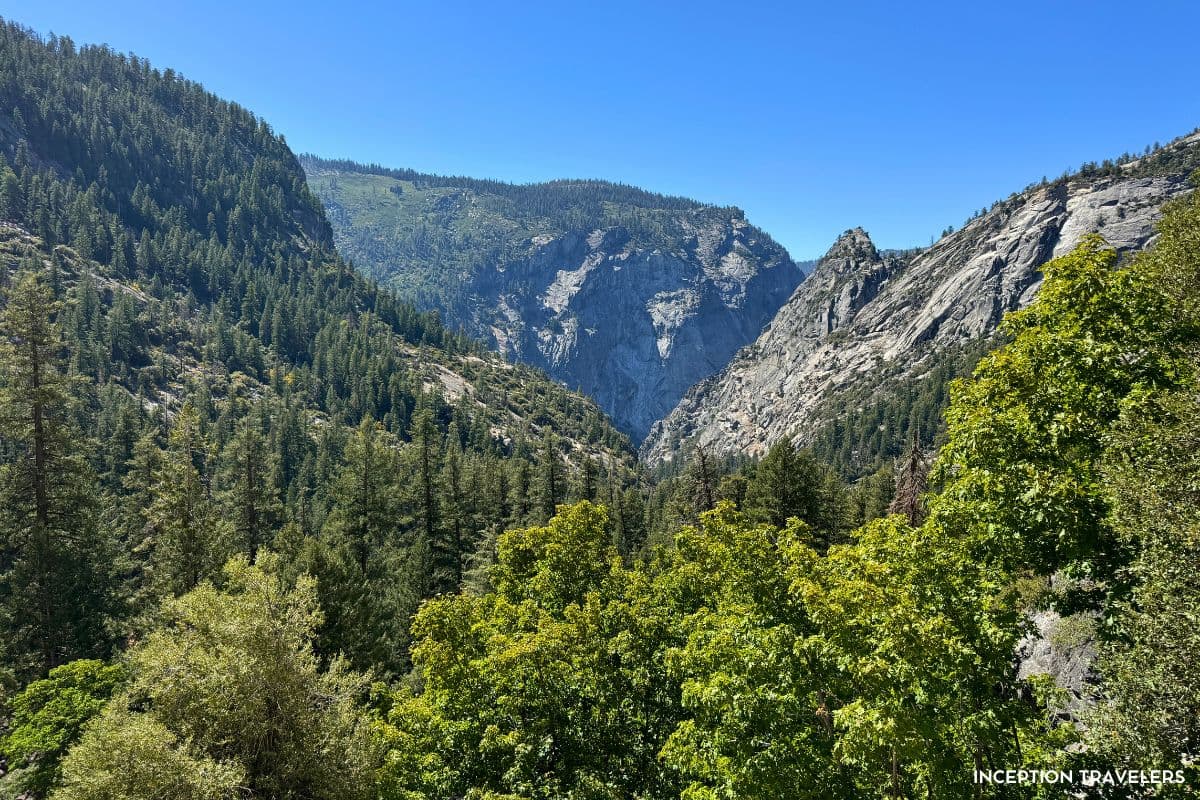Steep granite cliffs rising above dense pine forest in a sunlit mountain valley