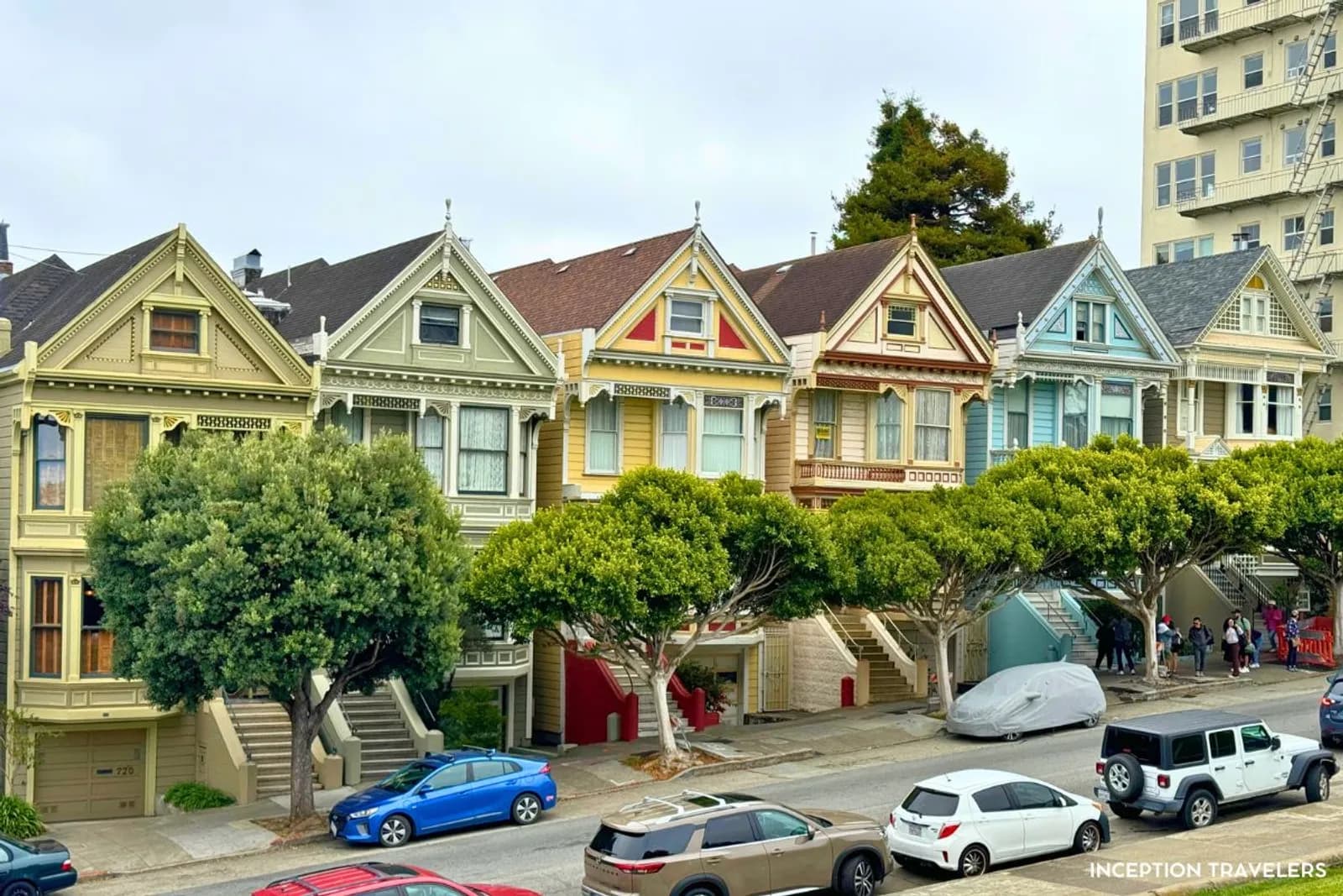 Painted Ladies